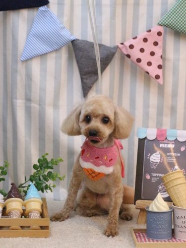 20250505モカちゃん